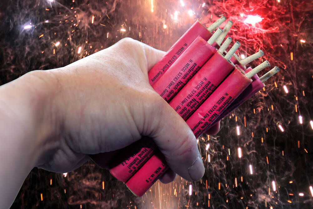 Wegen Böller-Angst! Tierarzt empfiehlt einen Eierlikör für Ihren Hund!