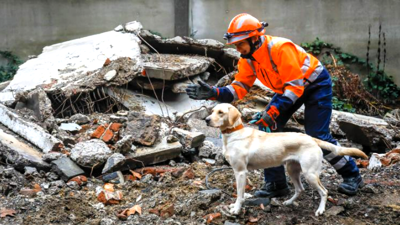 Sporthallendach bei Stuttgart eingestürzt - 4 Kinder schwer verletzt nach Sturz durch das Dach!